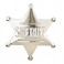 Pin Sheriff Badge Silver